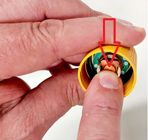 This image shows the location of the crown.